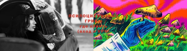 индика Аркадак