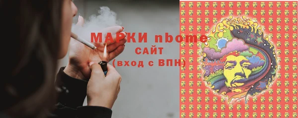 индика Аркадак