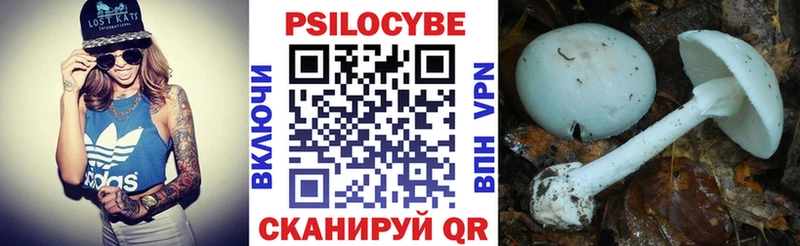 сколько стоит  Балей  Псилоцибиновые грибы MAGIC MUSHROOMS 
